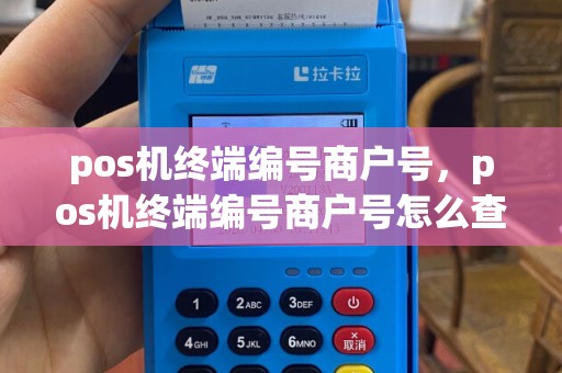 pos机终端编号商户号，pos机终端编号商户号怎么查