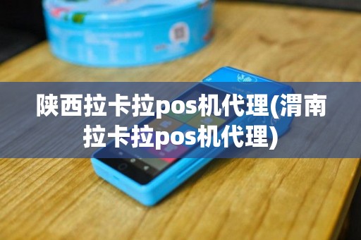 陕西拉卡拉pos机代理(渭南拉卡拉pos机代理)