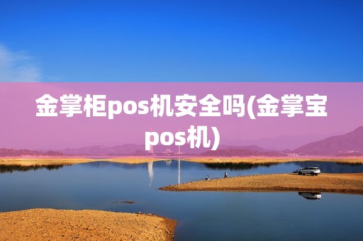 金掌柜pos机安全吗(金掌宝pos机)