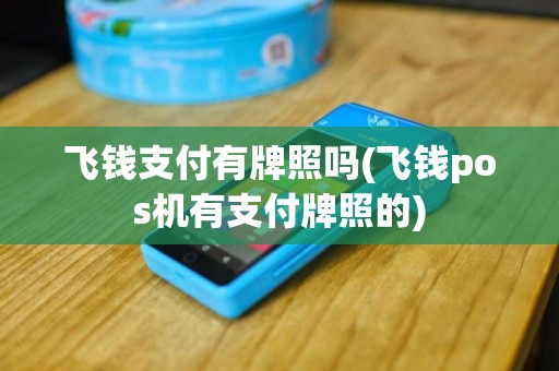 飞钱支付有牌照吗(飞钱pos机有支付牌照的)