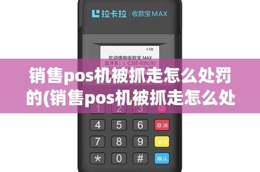 销售pos机被抓走怎么处罚的(销售pos机被抓走怎么处罚)