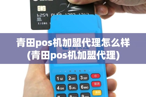 青田pos机加盟代理怎么样(青田pos机加盟代理)