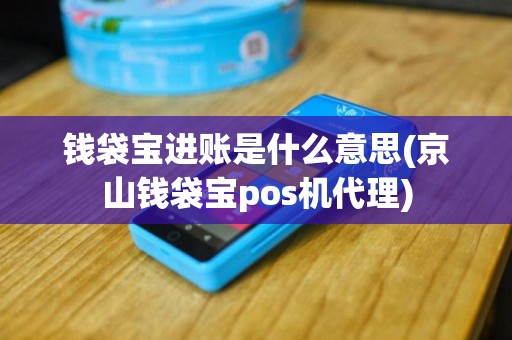 钱袋宝进账是什么意思(京山钱袋宝pos机代理)