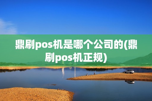 鼎刷pos机是哪个公司的(鼎刷pos机正规)