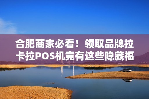 合肥商家必看！领取品牌拉卡拉POS机竟有这些隐藏福利？