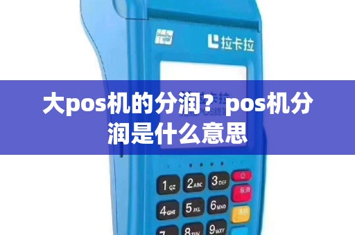 大pos机的分润？pos机分润是什么意思