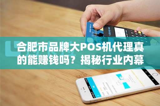 合肥市品牌大POS机代理真的能赚钱吗？揭秘行业内幕与避坑指南！