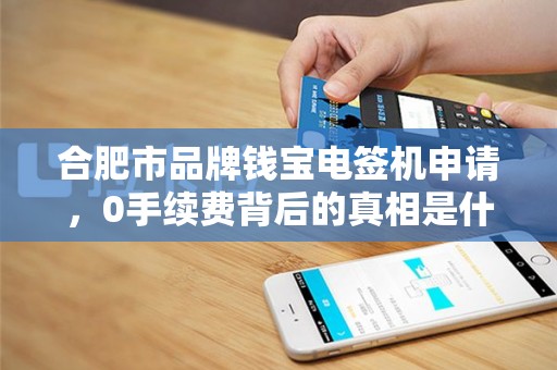 合肥市品牌钱宝电签机申请，0手续费背后的真相是什么？