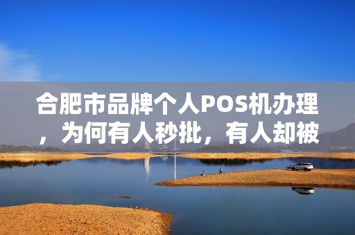 合肥市品牌个人POS机办理，为何有人秒批，有人却被拒？真相让人意外！