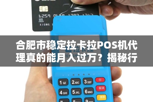 合肥市稳定拉卡拉POS机代理真的能月入过万？揭秘行业内幕与真实收益！
