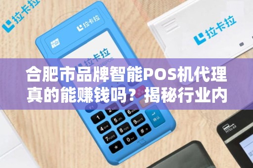 合肥市品牌智能POS机代理真的能赚钱吗？揭秘行业内幕与避坑指南！