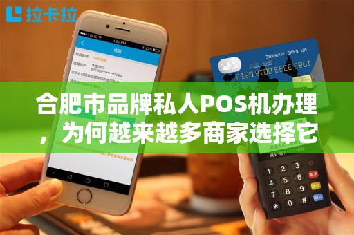 合肥市品牌私人POS机办理，为何越来越多商家选择它？背后隐藏哪些优势？