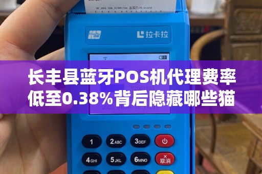 长丰县蓝牙POS机代理费率低至0.38%背后隐藏哪些猫腻？揭秘低费率背后的真相与风险