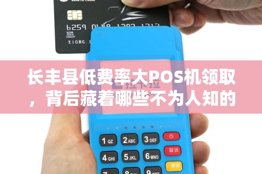 长丰县低费率大POS机领取，背后藏着哪些不为人知的坑？