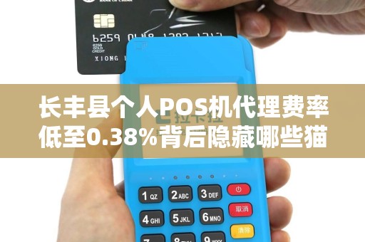长丰县个人POS机代理费率低至0.38%背后隐藏哪些猫腻？