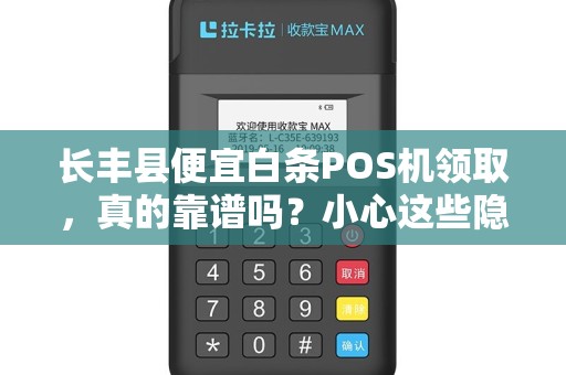 长丰县便宜白条POS机领取，真的靠谱吗？小心这些隐藏陷阱！