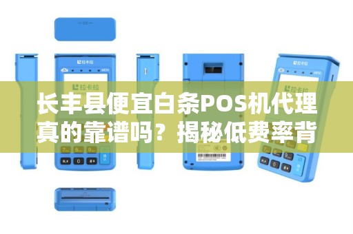长丰县便宜白条POS机代理真的靠谱吗？揭秘低费率背后的陷阱！