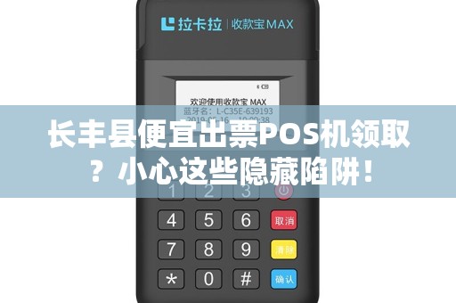长丰县便宜出票POS机领取？小心这些隐藏陷阱！