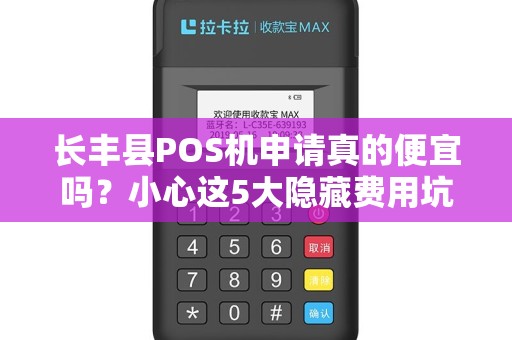长丰县POS机申请真的便宜吗？小心这5大隐藏费用坑惨你！