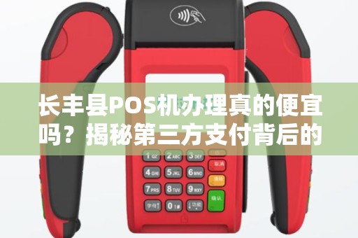 长丰县POS机办理真的便宜吗？揭秘第三方支付背后的隐藏费用！