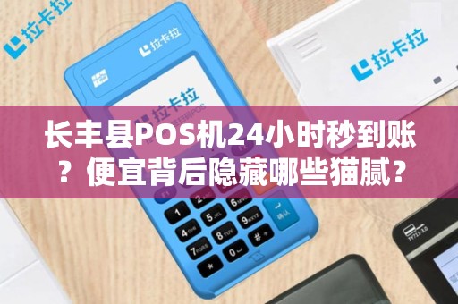长丰县POS机24小时秒到账？便宜背后隐藏哪些猫腻？