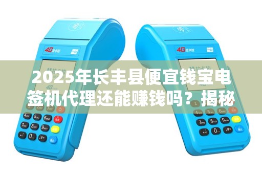 2025年长丰县便宜钱宝电签机代理还能赚钱吗？揭秘行业现状与盈利真相！