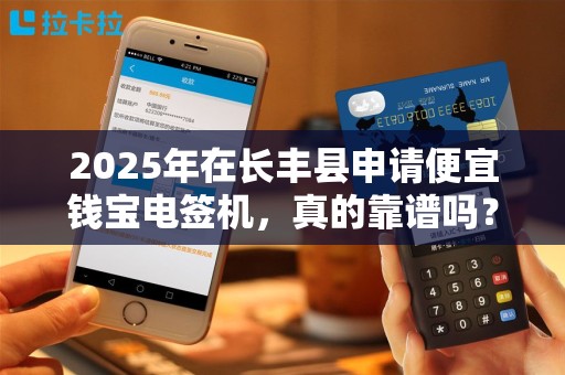 2025年在长丰县申请便宜钱宝电签机，真的靠谱吗？揭秘背后隐藏的3大陷阱！