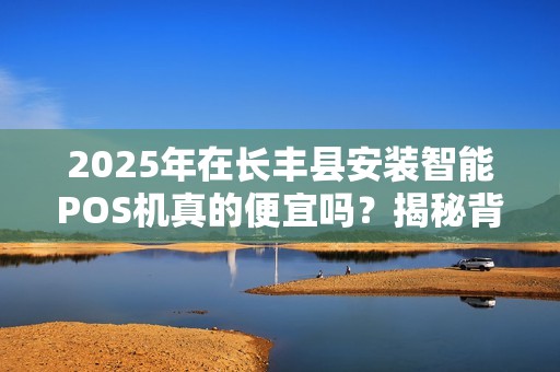 2025年在长丰县安装智能POS机真的便宜吗？揭秘背后隐藏的3大陷阱！