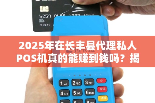 2025年在长丰县代理私人POS机真的能赚到钱吗？揭秘低成本背后的真相！