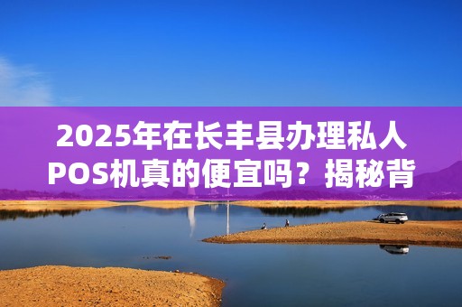 2025年在长丰县办理私人POS机真的便宜吗？揭秘背后隐藏的3大陷阱！