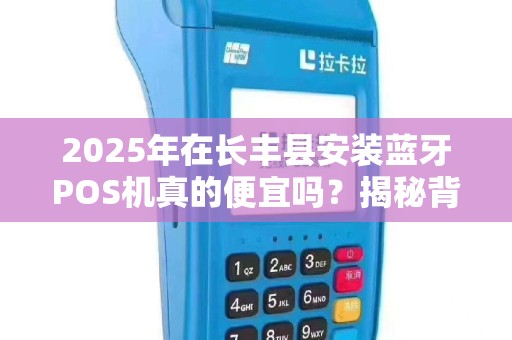 2025年在长丰县安装蓝牙POS机真的便宜吗？揭秘背后隐藏的3大陷阱！