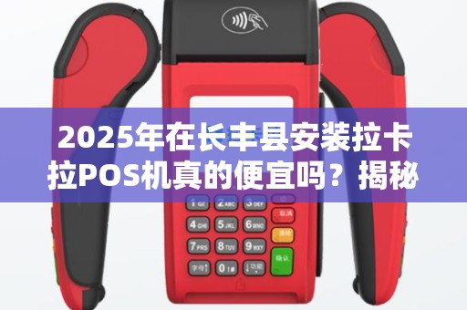 2025年在长丰县安装拉卡拉POS机真的便宜吗？揭秘背后的真相！