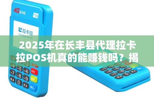 2025年在长丰县代理拉卡拉POS机真的能赚钱吗？揭秘低成本入局的3大陷阱！