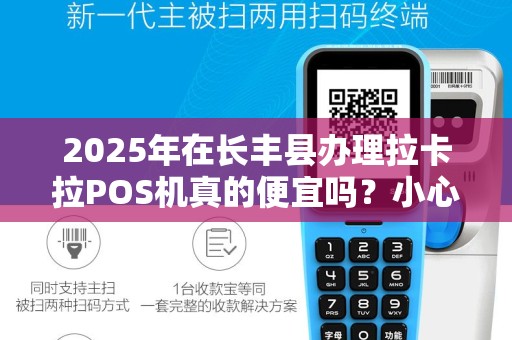 2025年在长丰县办理拉卡拉POS机真的便宜吗？小心这些隐藏套路！