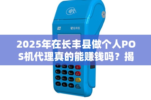 2025年在长丰县做个人POS机代理真的能赚钱吗？揭秘低成本创业的真相！