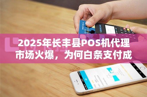 2025年长丰县POS机代理市场火爆，为何白条支付成为商家新宠？