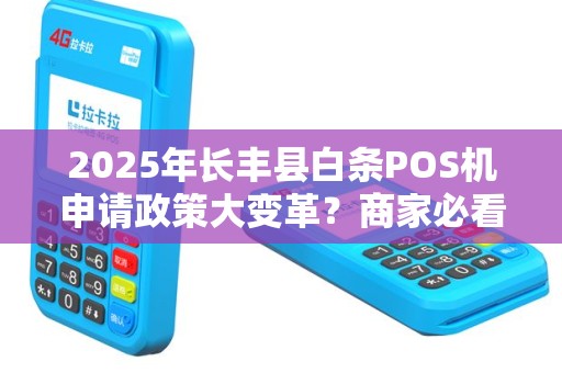 2025年长丰县白条POS机申请政策大变革？商家必看最新指南！