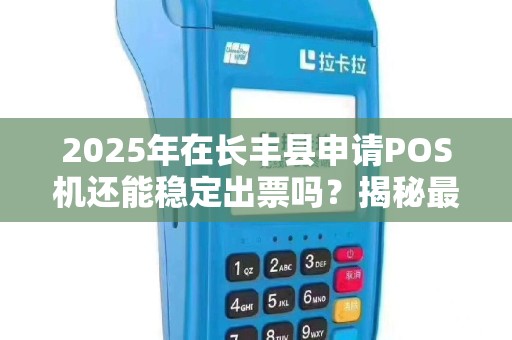 2025年在长丰县申请POS机还能稳定出票吗？揭秘最新政策与避坑指南！