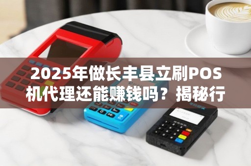 2025年做长丰县立刷POS机代理还能赚钱吗？揭秘行业现状与盈利模式