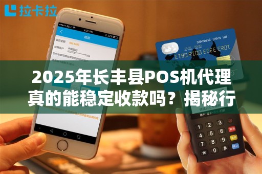 2025年长丰县POS机代理真的能稳定收款吗？揭秘行业现状与未来趋势！