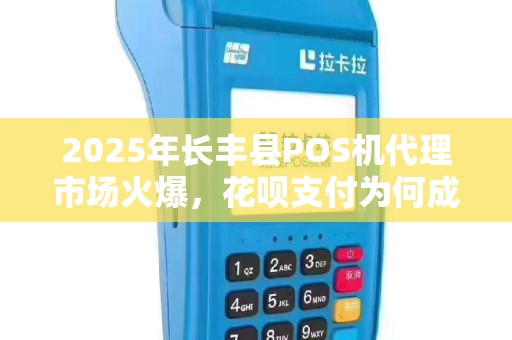 2025年长丰县POS机代理市场火爆，花呗支付为何成为商家新宠？