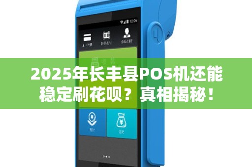 2025年长丰县POS机还能稳定刷花呗？真相揭秘！