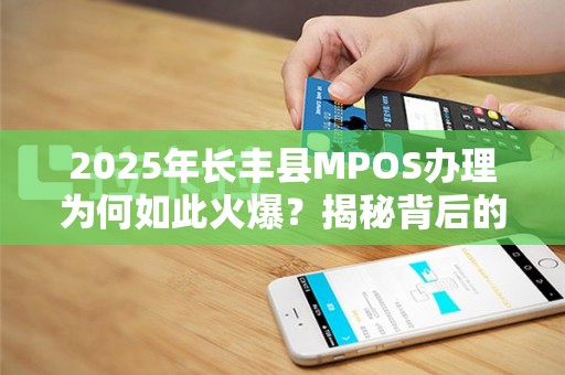 2025年长丰县MPOS办理为何如此火爆？揭秘背后的稳定秘诀！