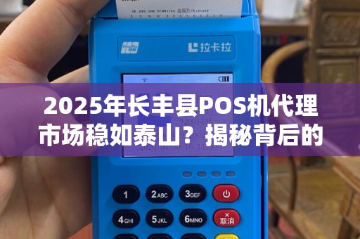 2025年长丰县POS机代理市场稳如泰山？揭秘背后的财富密码！