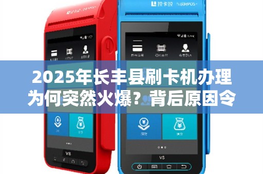 2025年长丰县刷卡机办理为何突然火爆？背后原因令人意外！