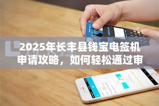 2025年长丰县钱宝电签机申请攻略，如何轻松通过审核？