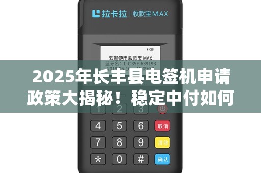 2025年长丰县电签机申请政策大揭秘！稳定中付如何助力商户？