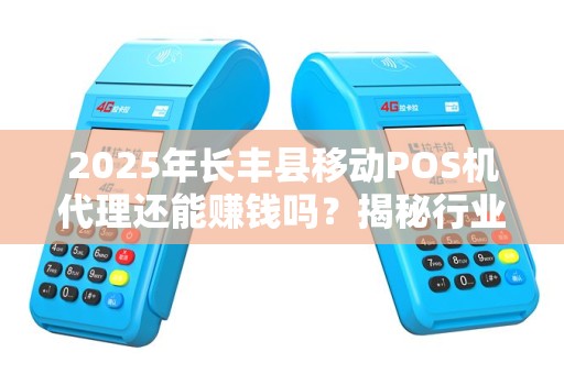 2025年长丰县移动POS机代理还能赚钱吗？揭秘行业现状与未来趋势