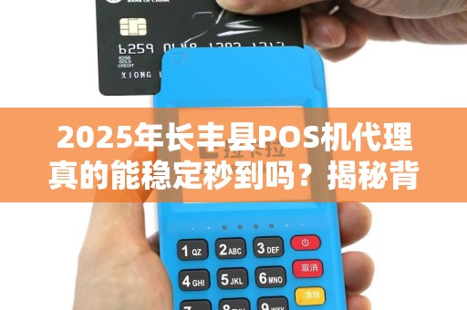 2025年长丰县POS机代理真的能稳定秒到吗？揭秘背后的真相！