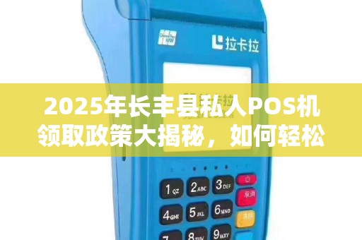 2025年长丰县私人POS机领取政策大揭秘，如何轻松申请？